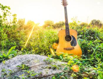 Trails & Vistas Art Hikes