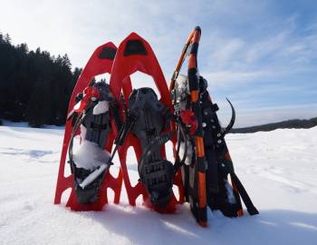 SNOWFEST Olympic Trails Free Ski + Snowshoe Day at Sugar Pine Point State Park
