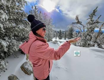 Snowshoeing North Lake Tahoe and Truckee