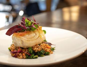 Stella Stella Truckee