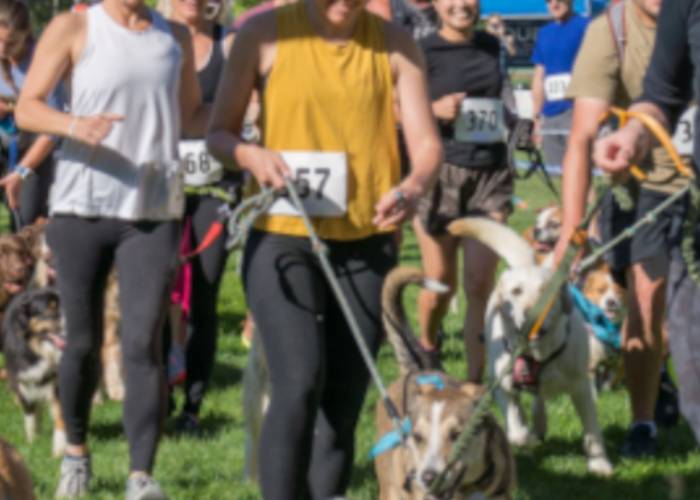 Tail Wagger Dog Friendly 5K