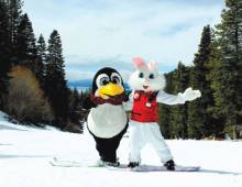 Easter in Tahoe