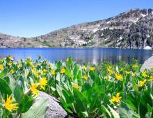 Best Time To Visit Tahoe Best Time To Visit Tahoe