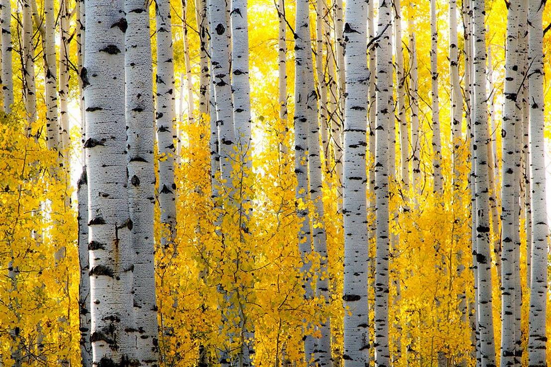 Top 10 Reasons to Visit Lake Tahoe in the Fall
