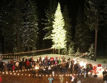 Tahoe Donner Christmas Tree Lighting Tahoe Donner Christmas Tree Lighting