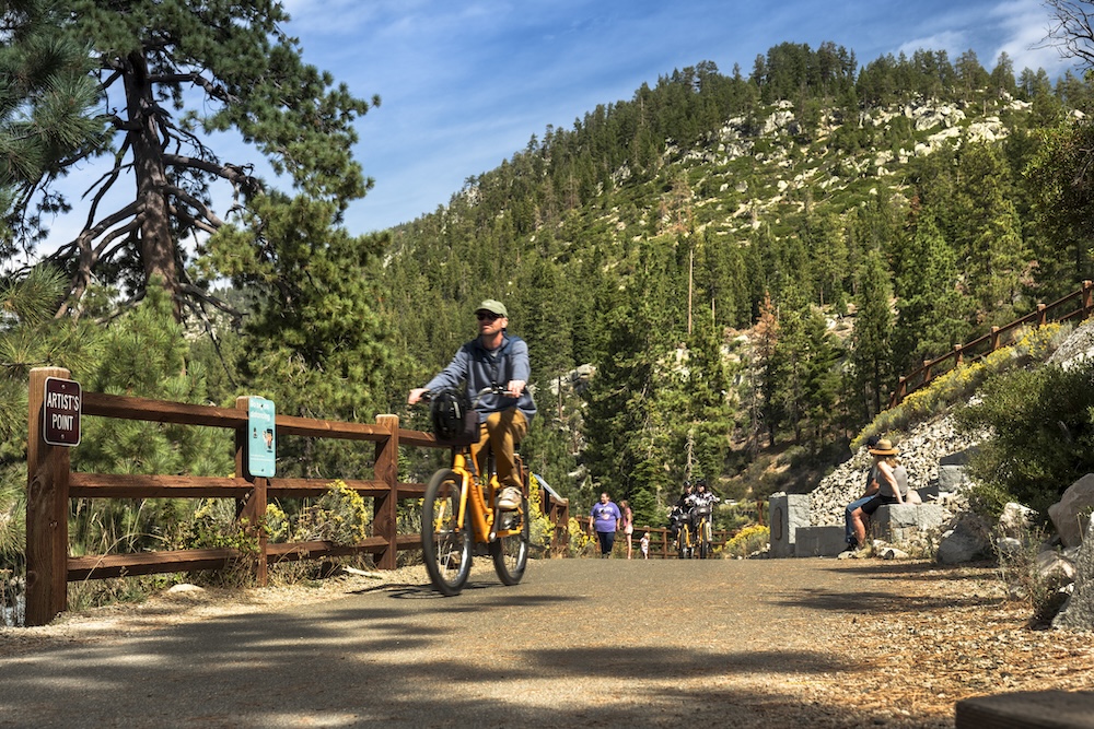 mountain biking
