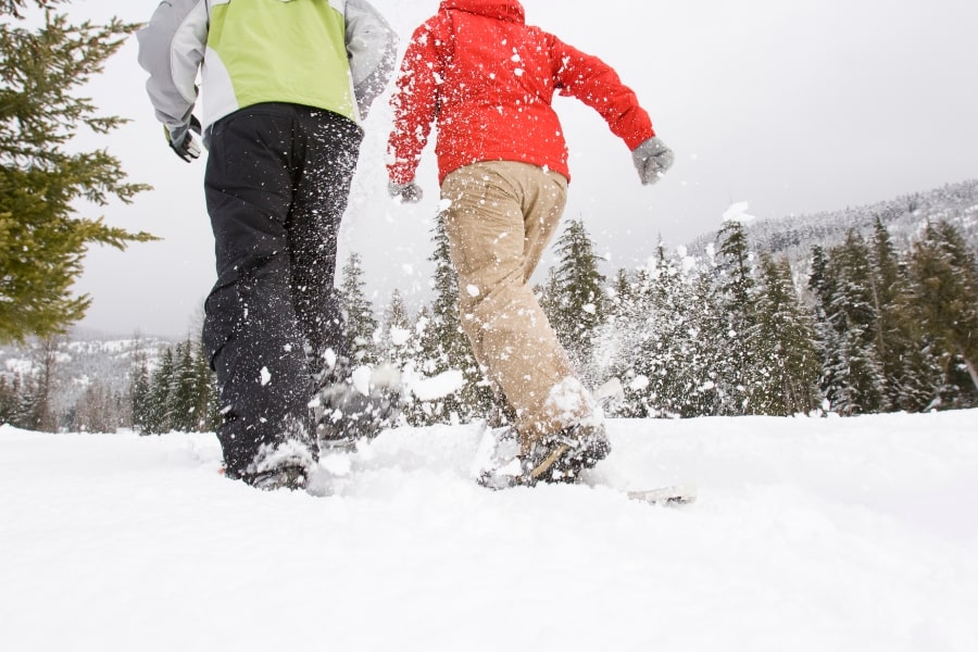 Tahoe Snowshoeing